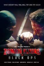 Watch Zombie Ninjas vs Black Ops Megashare9