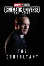 Watch Marvel One-Shot: The Consultant Megashare9