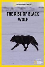 Watch The Rise of Black Wolf Megashare9
