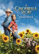 Watch A Cinderella Story: Starstruck Megashare9