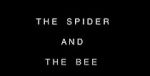 Watch The Spider and the Bee Megashare9