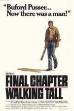 Watch Final Chapter Walking Tall Megashare9