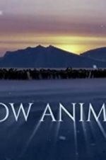 Watch Snow Animals Megashare9