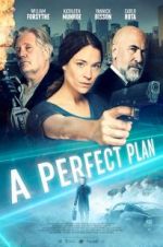 Watch A Perfect Plan Megashare9