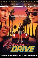 Watch License to Drive Megashare9