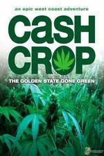 Watch Cash Crop Megashare9