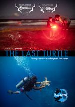 Watch The Last Turtle (Short 2019) Megashare9