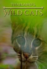 Watch Thailand's Wild Cats Megashare9