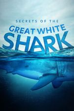 Watch Secrets of the Great White Shark Megashare9