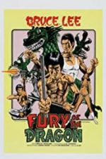 Watch Fury of the Dragon Megashare9