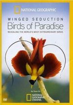 Watch Winged Seduction: Birds of Paradise Megashare9