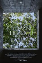 Watch John and the Hole Megashare9