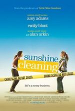 Watch Sunshine Cleaning Megashare9