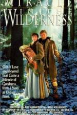 Watch Miracle in the Wilderness Megashare9