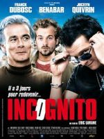 Watch Incognito Megashare9