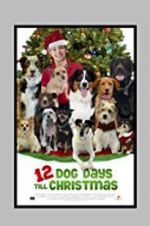 Watch 12 Dog Days Till Christmas Megashare9