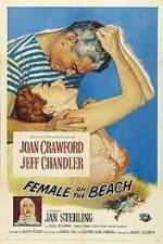 Watch Female on the Beach Megashare9