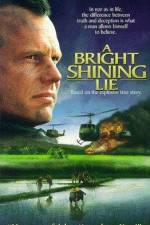 Watch A Bright Shining Lie Megashare9