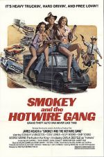 Watch Smokey and the Hotwire Gang Megashare9