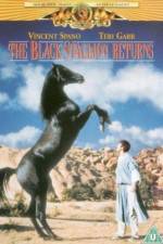 Watch The Black Stallion Returns Megashare9