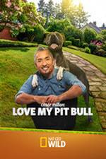 Watch Cesar Millan: Love My Pit Bull Megashare9