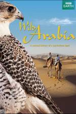 Watch Wild Arabia Megashare9