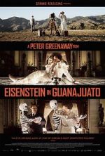 Watch Eisenstein in Guanajuato Megashare9