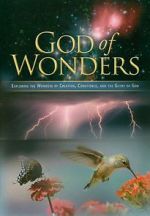 Watch God of Wonders Megashare9