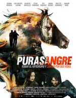 Watch Purasangre Megashare9