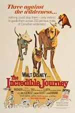 Watch The Incredible Journey Megashare9