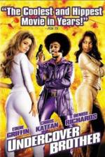 Watch Undercover Brother Megashare9