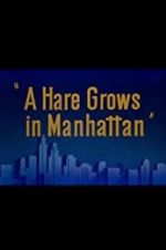 Watch A Hare Grows in Manhattan Megashare9