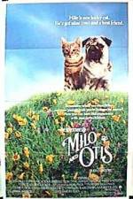 Watch Milo & Otis Megashare9