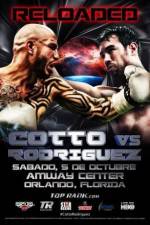 Watch Miguel Cotto vs Delvin Rodriguez Megashare9