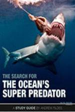 Watch The Search for the Oceans Super Predator Megashare9