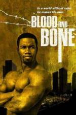Watch Blood and Bone Megashare9