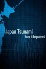 Watch Japan Tsunami: How It Happened Megashare9