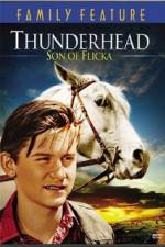 Watch Thunderhead - Son of Flicka Megashare9