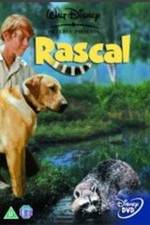 Watch Rascal Megashare9