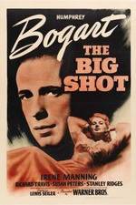 Watch The Big Shot Megashare9