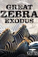 Watch Nature: Great Zebra Exodus Megashare9