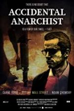 Watch Accidental Anarchist Megashare9