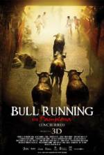 Watch Encierro 3D: Bull Running in Pamplona Megashare9