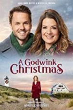 Watch A Godwink Christmas Megashare9