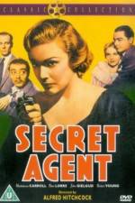 Watch Secret Agent Megashare9