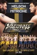 Watch The Ultimate Fighter 16 Finale Nelson vs Mitrione Megashare9