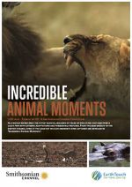 Watch Incredible Animal Moments Megashare9