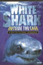 Watch National Geographic white shark:outside the cage Megashare9