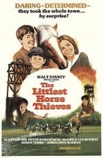 Watch The Littlest Horse Thieves Megashare9