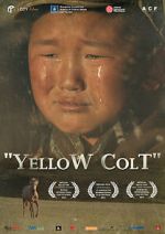 Watch Yellow Colt Megashare9